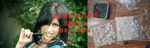 эйфоретик Зерноград