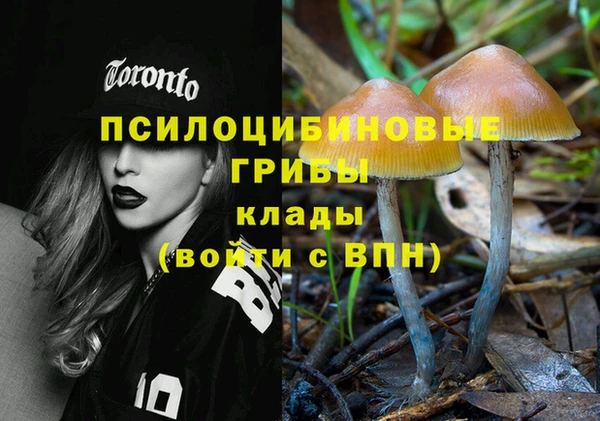 не бодяженный Белокуриха