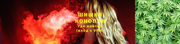 не бодяженный Белокуриха