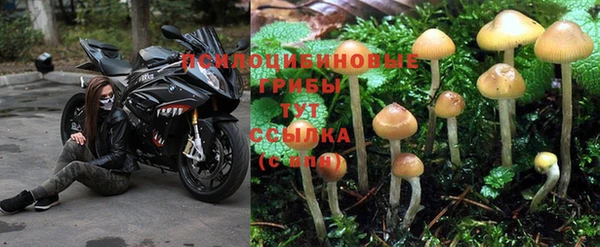 не бодяженный Белокуриха