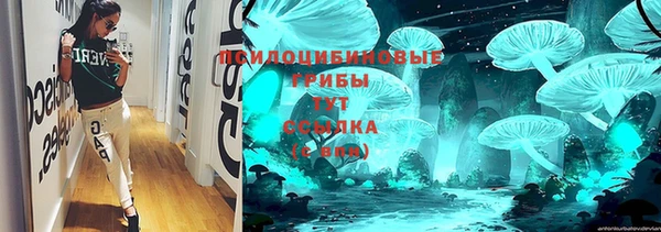 тгк Зеленодольск