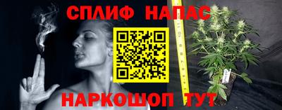 скорость Аша