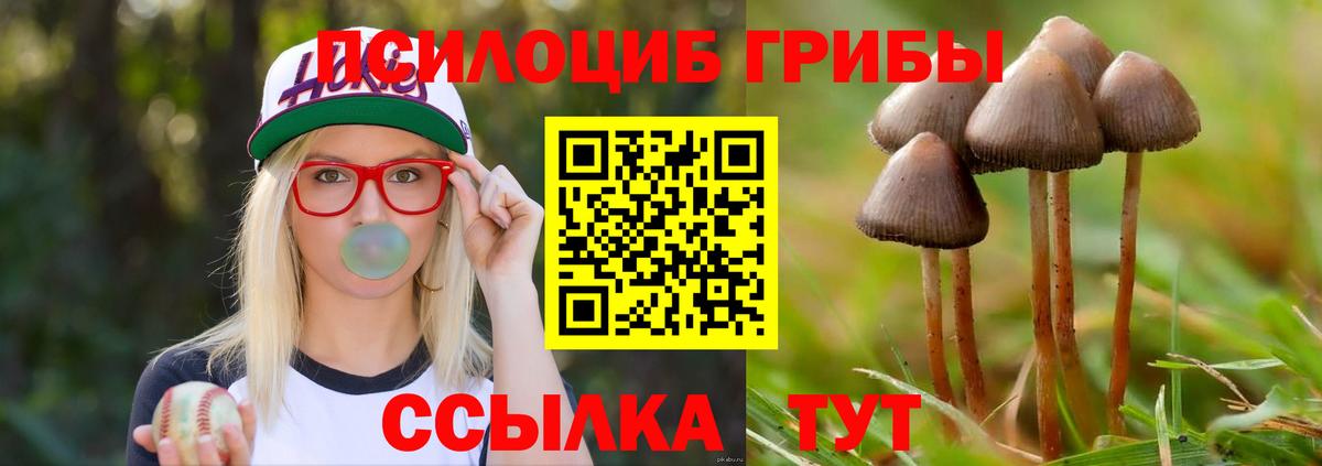 Галлюциногенные грибы MAGIC MUSHROOMS Верхний Уфалей